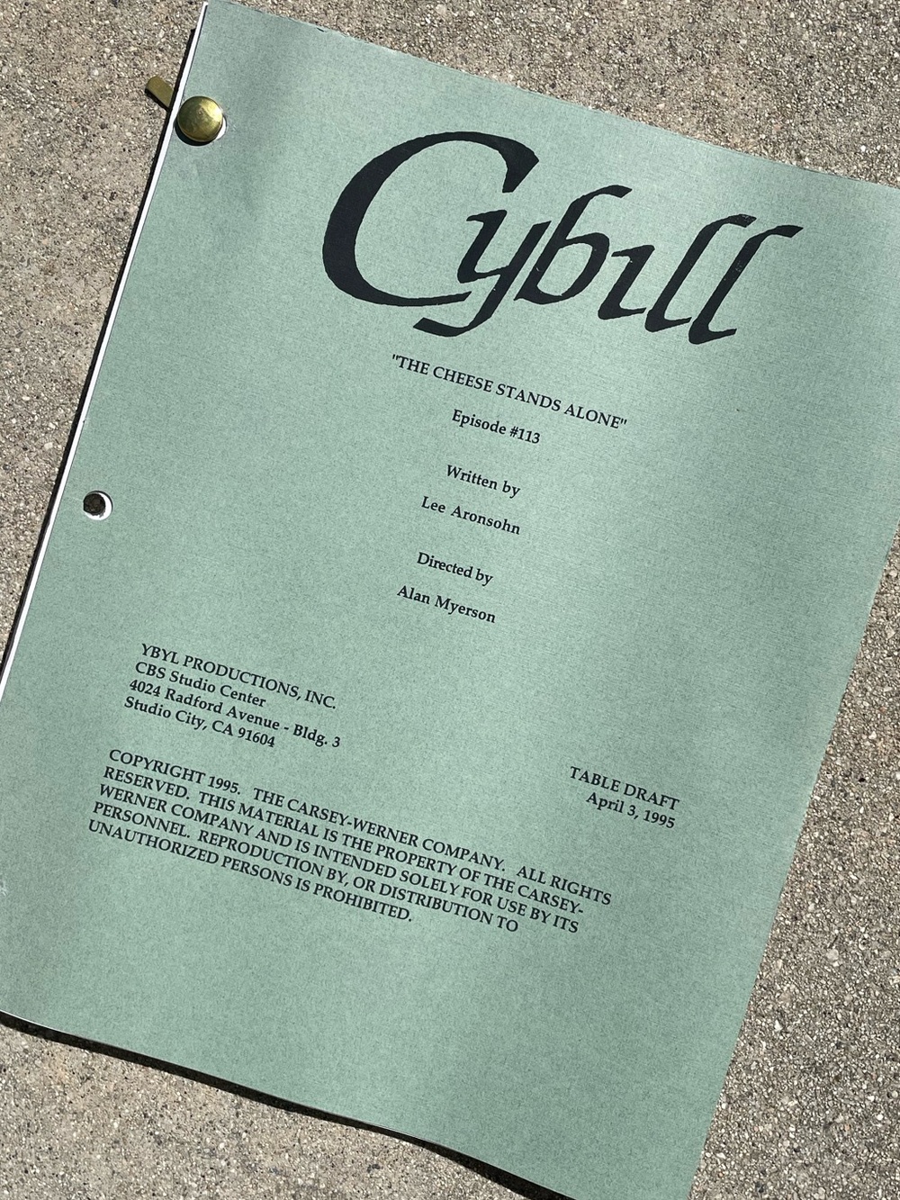 CYBILL 1995 TV Series Production Used Table Draft Script The Cheese Stands Alone
